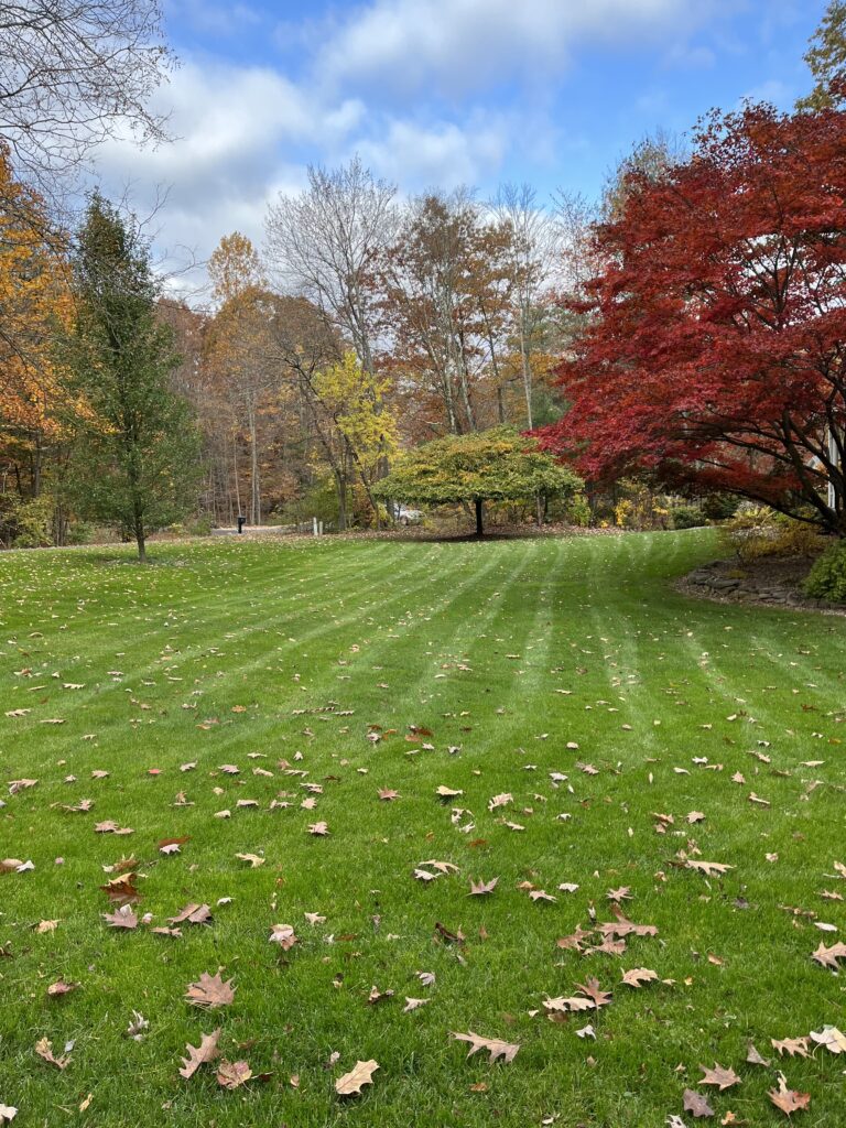 Grounds Maintenance & Restoration, beautiful fall color trees