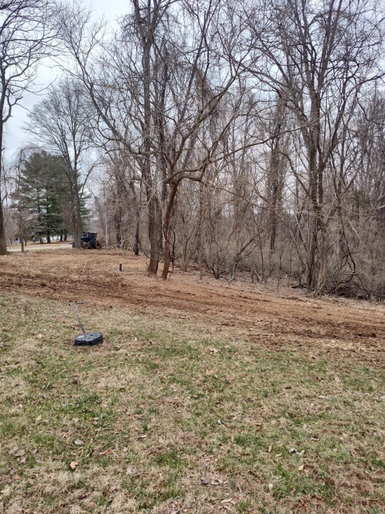 Forestry Mulching