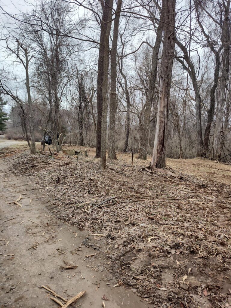 Forestry Mulching