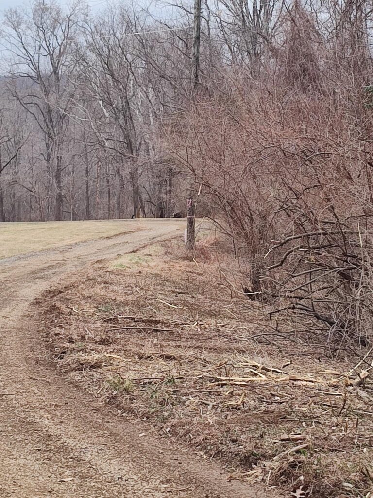 Forestry Mulching