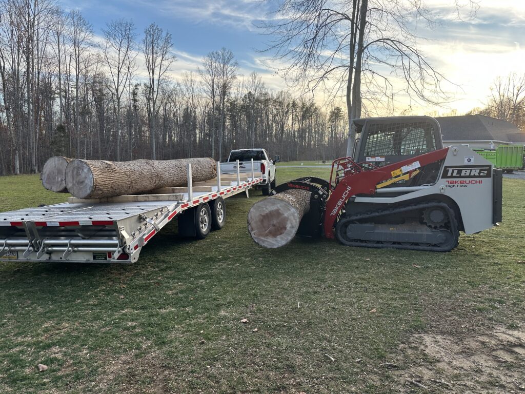 sawmill, tree reclamation