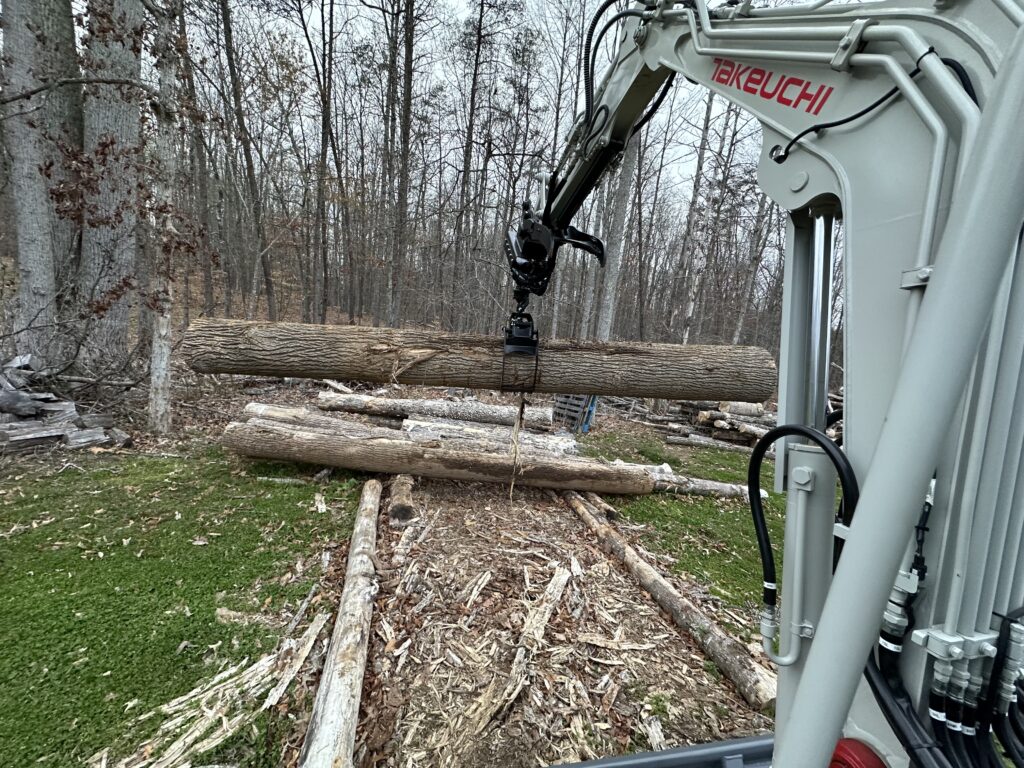 fallen tree removal