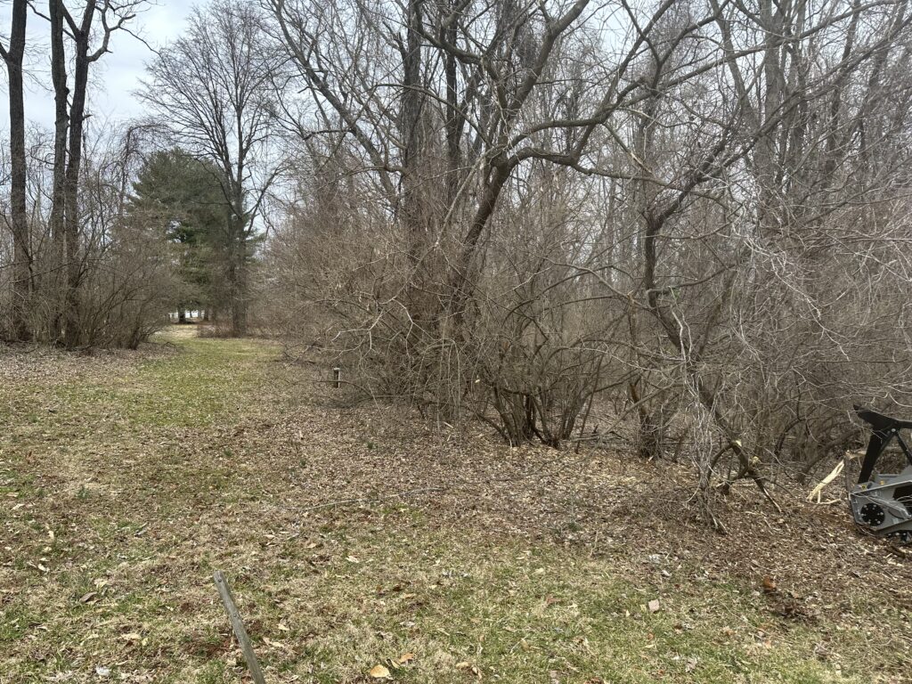 forestry mulching