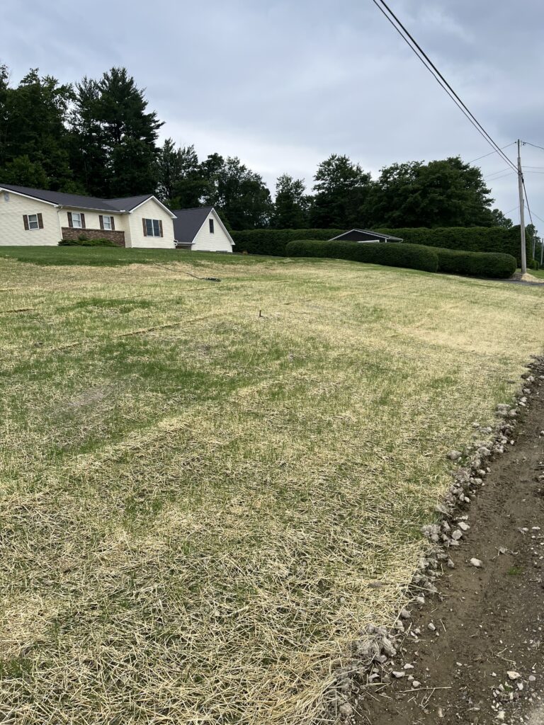 grading and lawn seeding