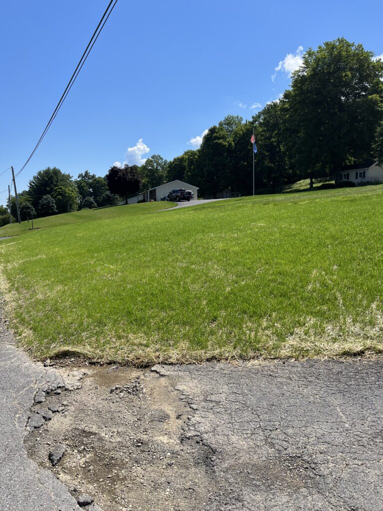 grading and lawn seeding