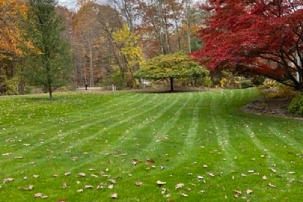 Lawn grounds maintenance