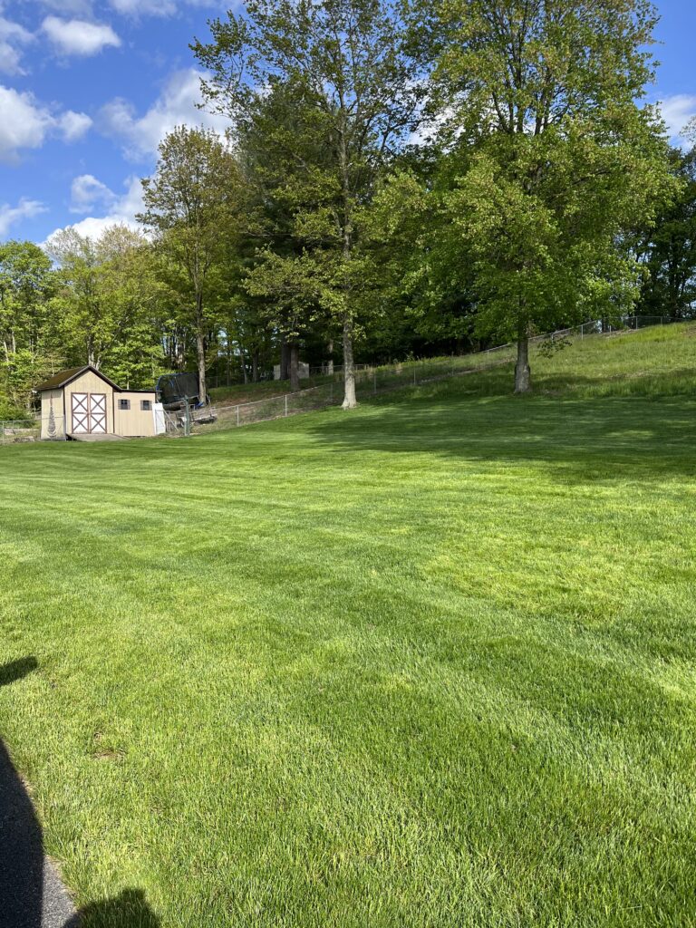 lawn care project