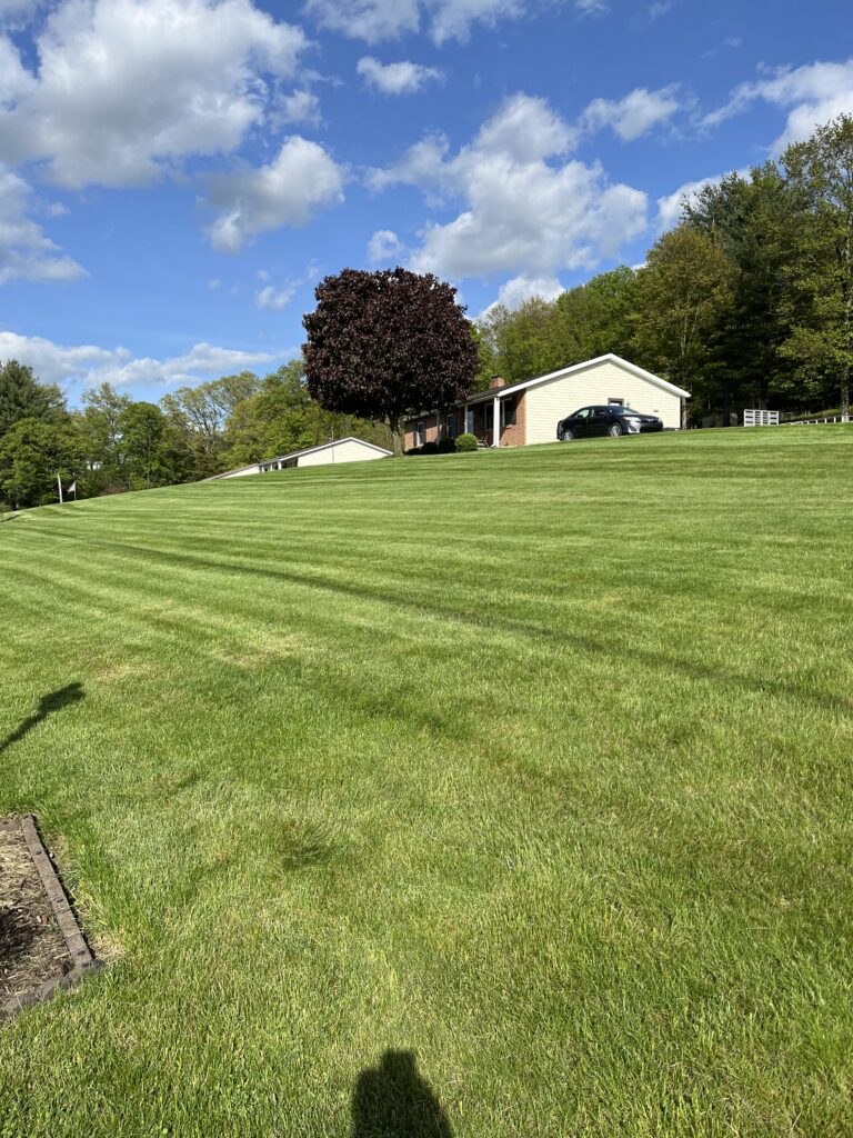 lawn care project