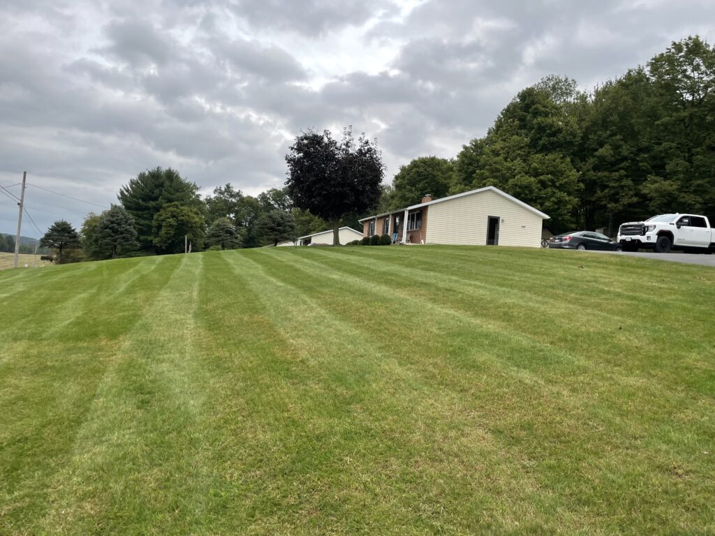 lawn care project