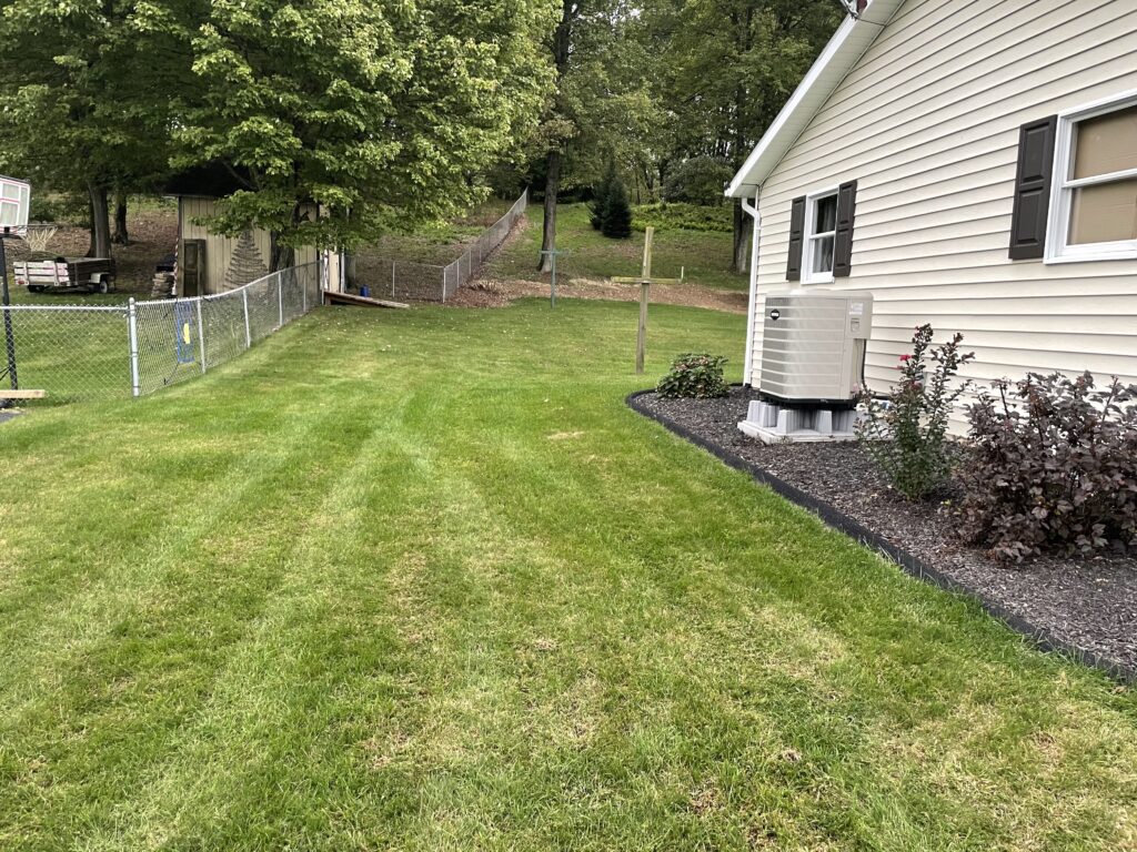 lawn care project