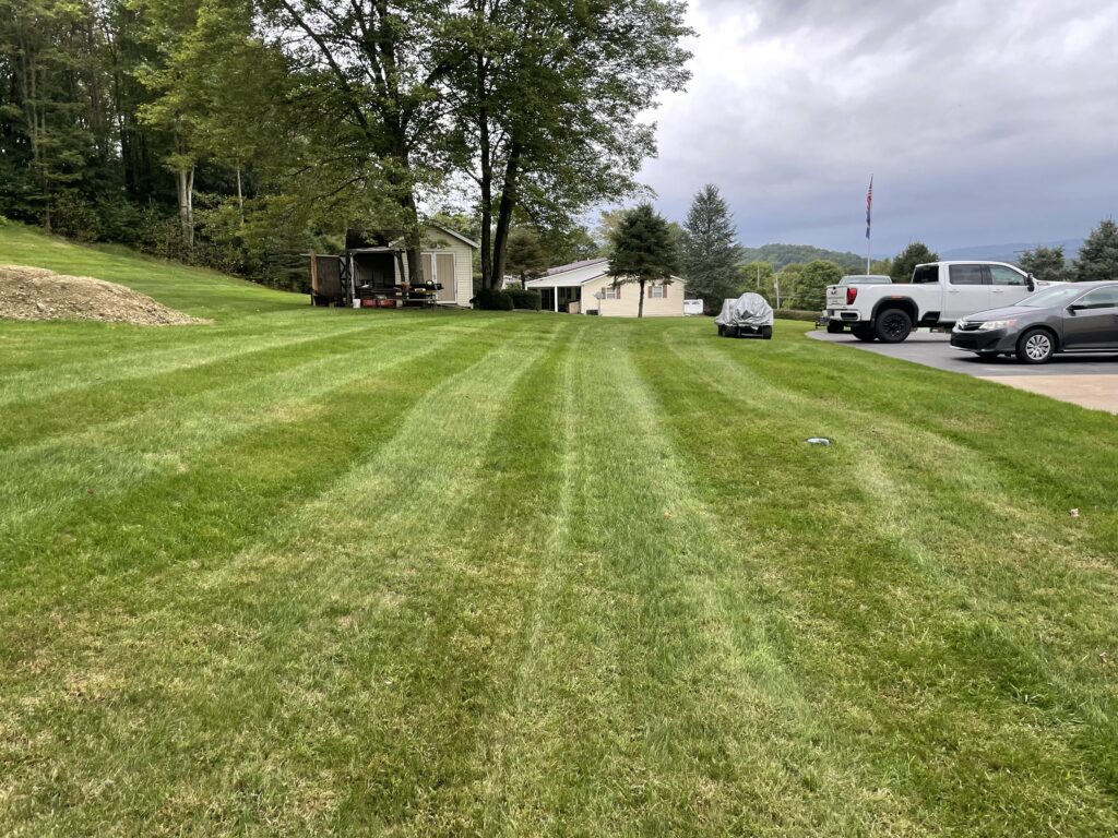 lawn care project