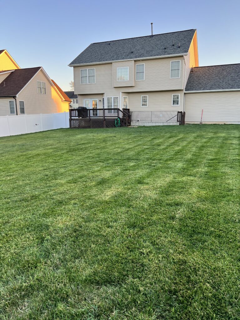 lawn care project