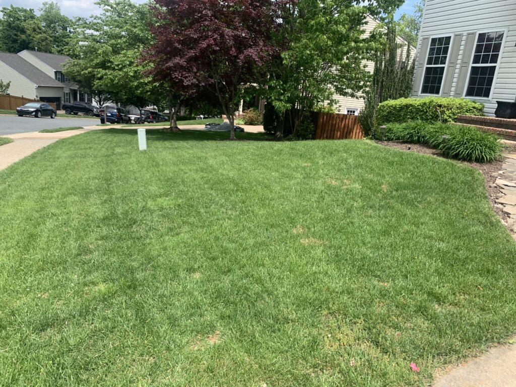 lawn care project