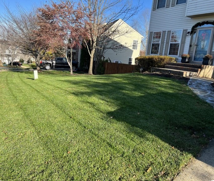 lawn care project