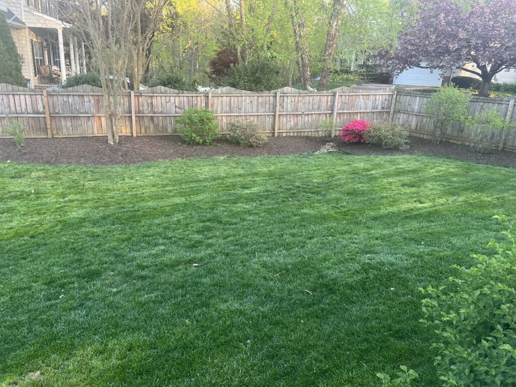 lawn care and landscaping project