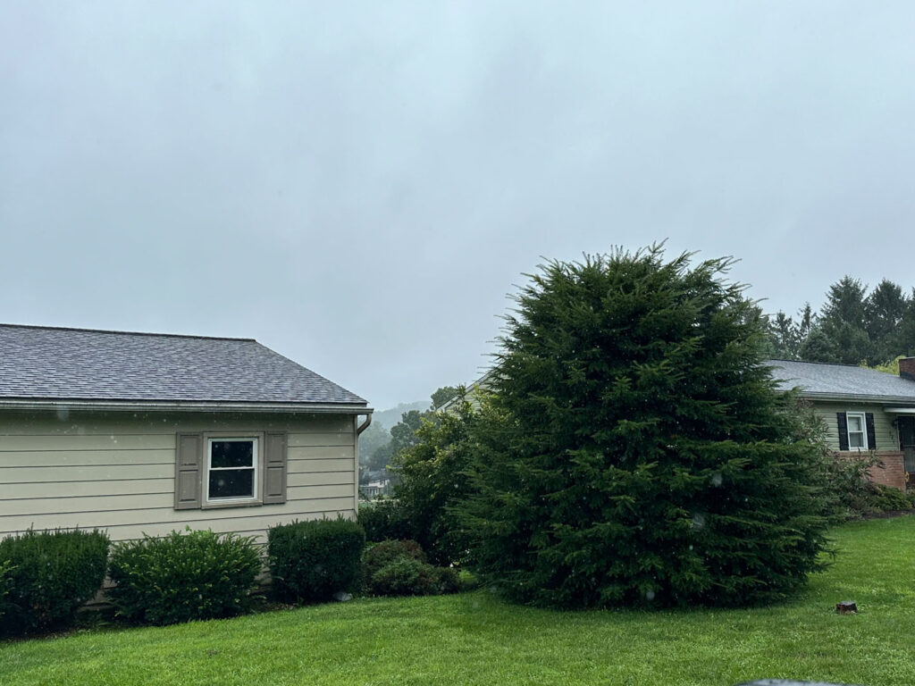 Before picture of a landscape overhaul and drain install project, showing overgrown shrubs on side of house.