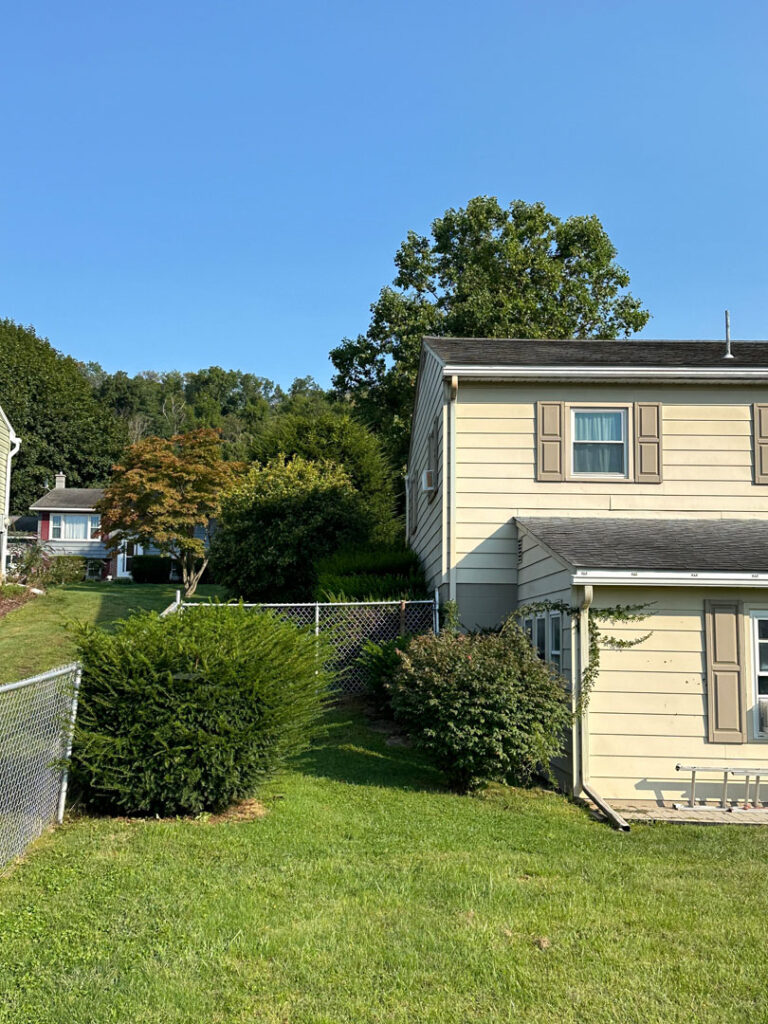 Before picture of a landscape overhaul and drain install project, showing overgrown shrubs in back of house.