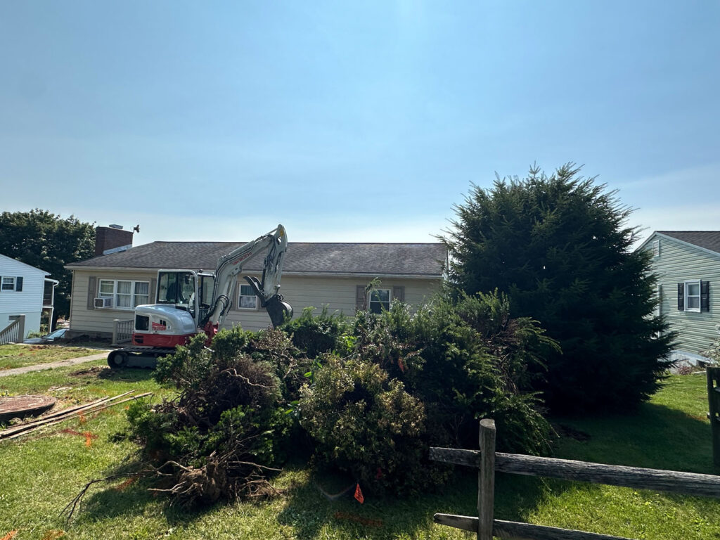 Overgrown shrubs in front yard that were obstructing the landscape and contributing to poor water flow.