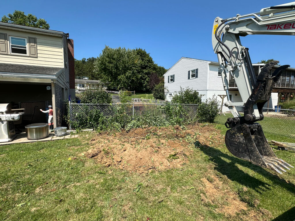 Removing overgrown shrubs in back yard.