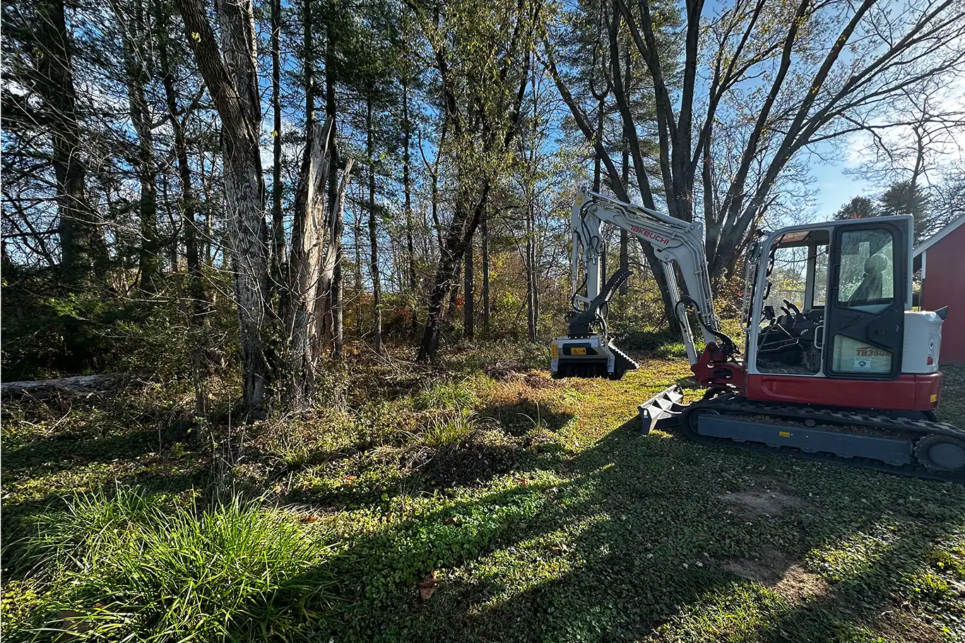 Home 1 Forestry before photo