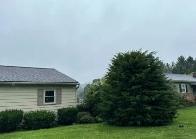 Before picture of landscape overhaul