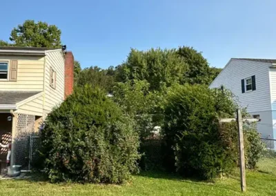 Before picture of landscape overhaul