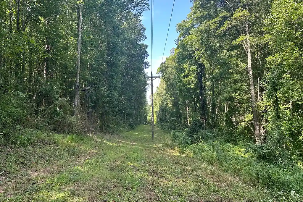 Land &Amp; Vegetation Management In Central Pa 2 Right of way