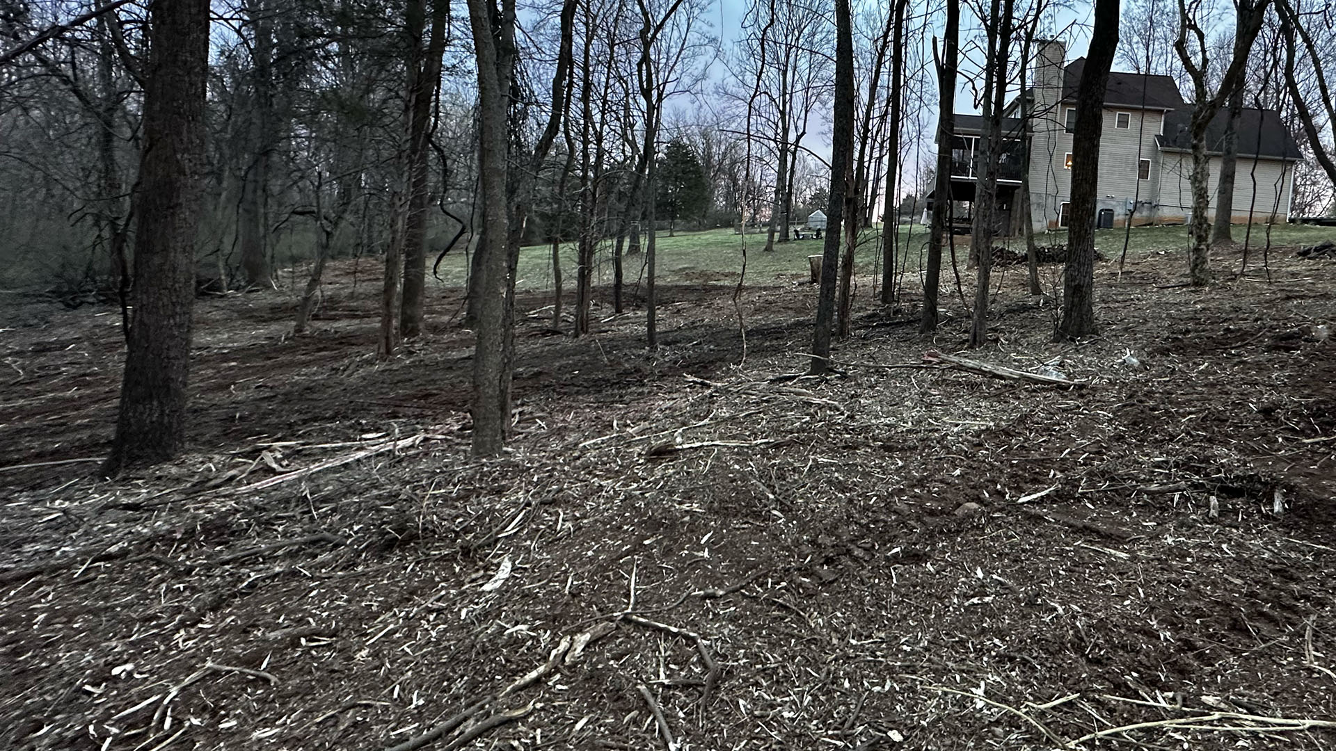 Forestry Mulching &Amp; Land Clearing Services 4 Cleared property after professional forestry mulching and land clearing