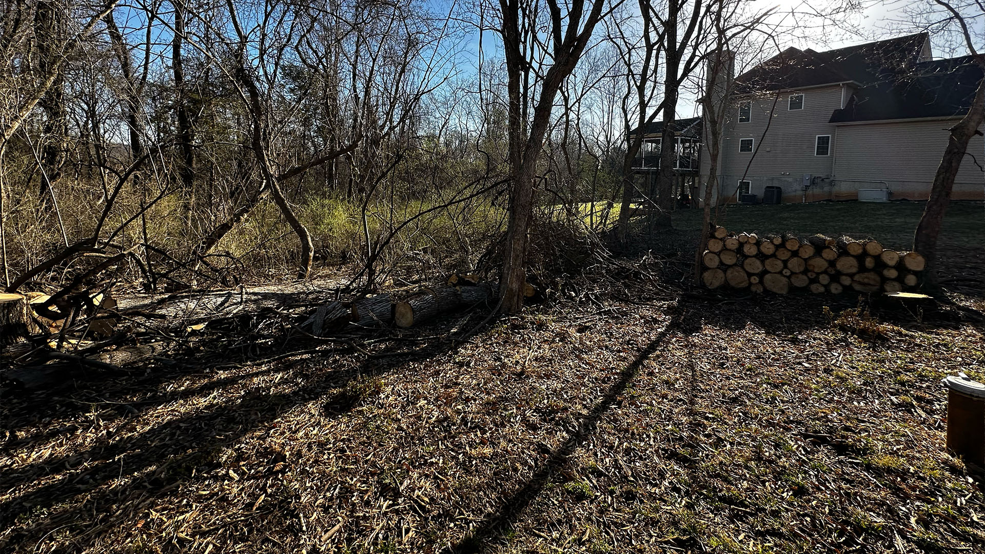 Forestry Mulching &Amp; Land Clearing Services 3 Overgrown wooded property before forestry mulching and land clearing