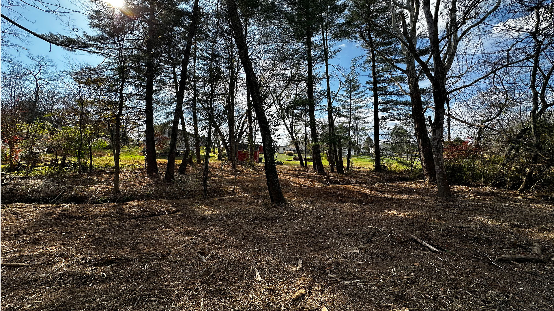 Forestry Mulching &Amp; Land Clearing Services 2 After forestry mulching project