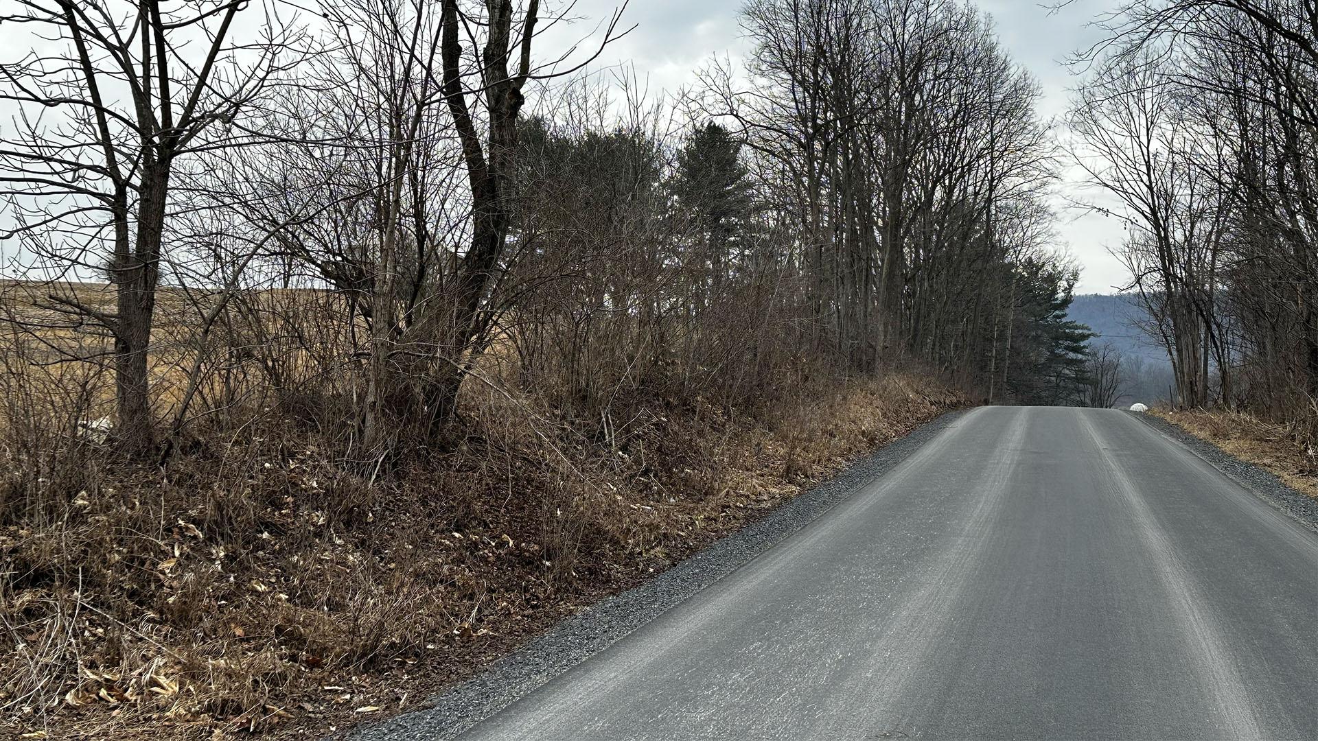 Right-Of-Way &Amp; Perimeter Vegetation Management 1 Dense vegetation encroaching on access and boundary lines