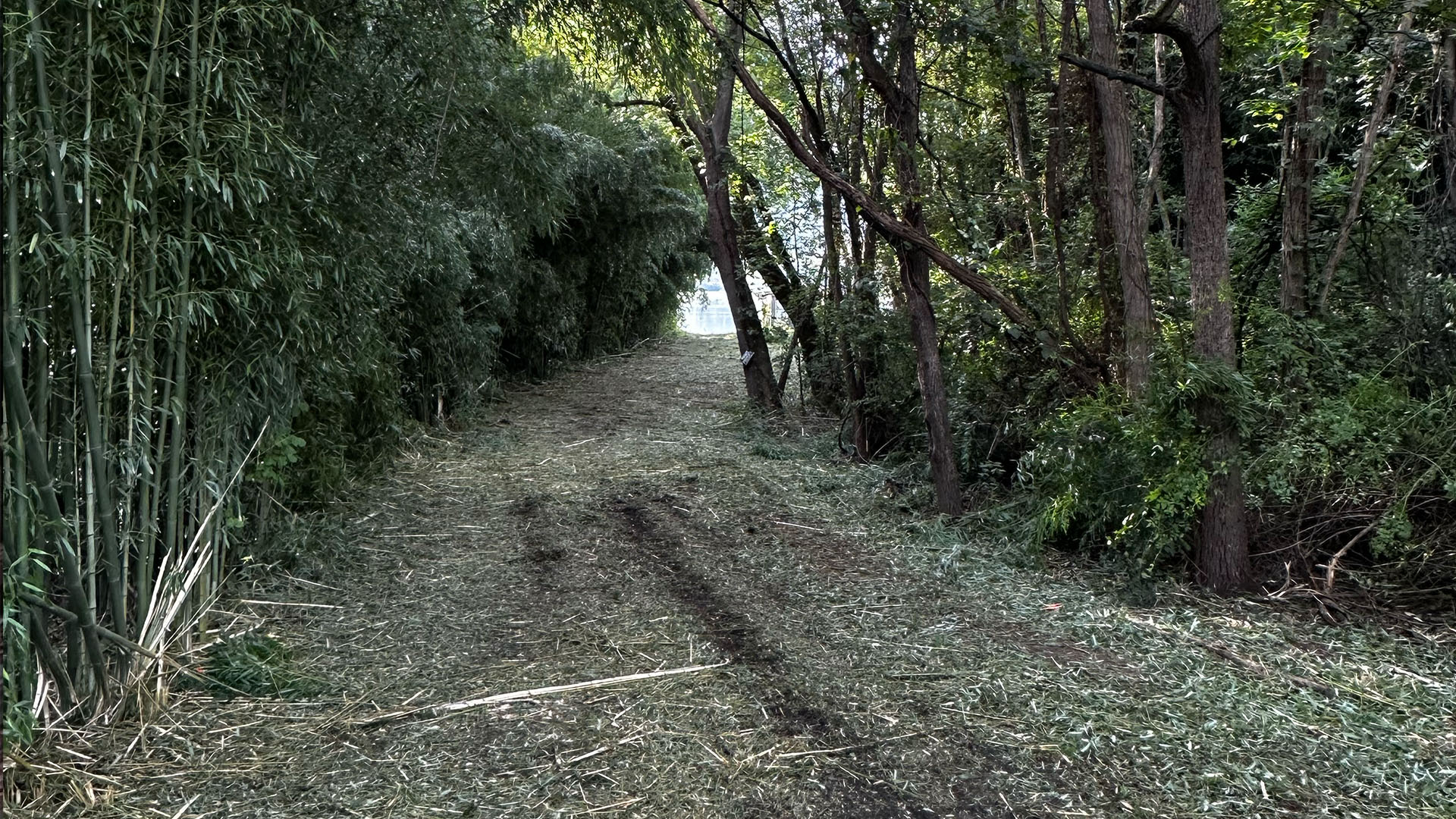 Right-Of-Way &Amp; Perimeter Vegetation Management 4 Cleared access path providing safe, reliable entry to the river